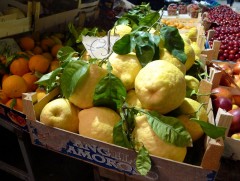 How to make limoncello: the original recipe
