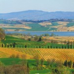 ilsasso.com