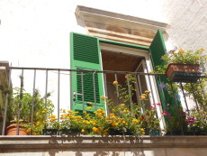 Improve your Italian by visiting Puglia
