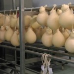 caciocavallo