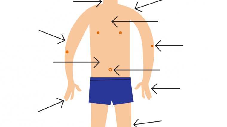 How to say body parts in Italian & body idioms