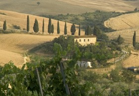 Driving under the Tuscan sun